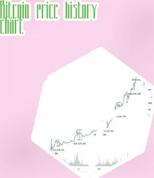 Bitcoin price chart from beginning