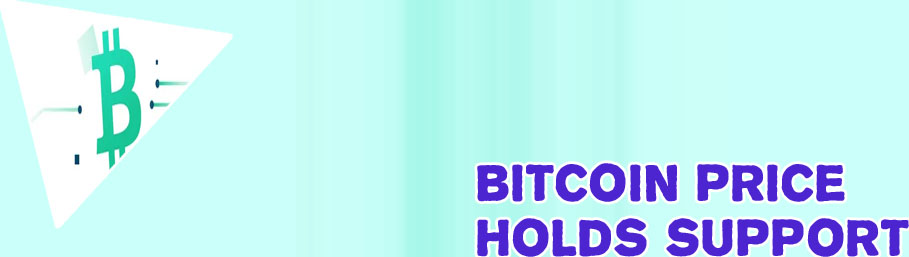 Bitcoin support