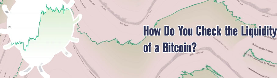 Bitcoin volume today