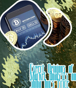 Safe dollar crypto price