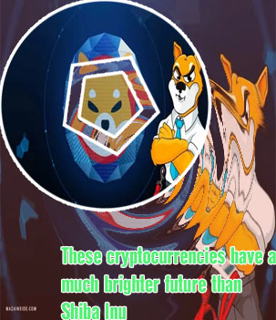 Shiba currency