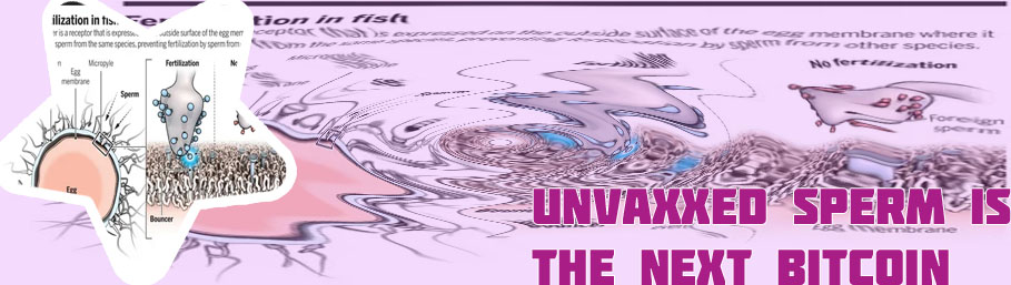 Unvaxxed sperm is the new bitcoin